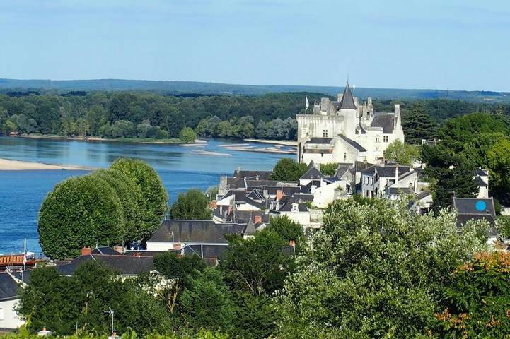 Location de vacances pour 7 personnes, avec Terrasse et Jardin à Montsoreau