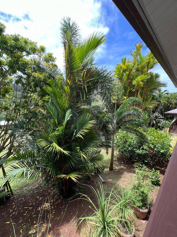 Gîte pour 2 personnes, avec jardin ainsi que balcon et vue dans Uturoa - 2