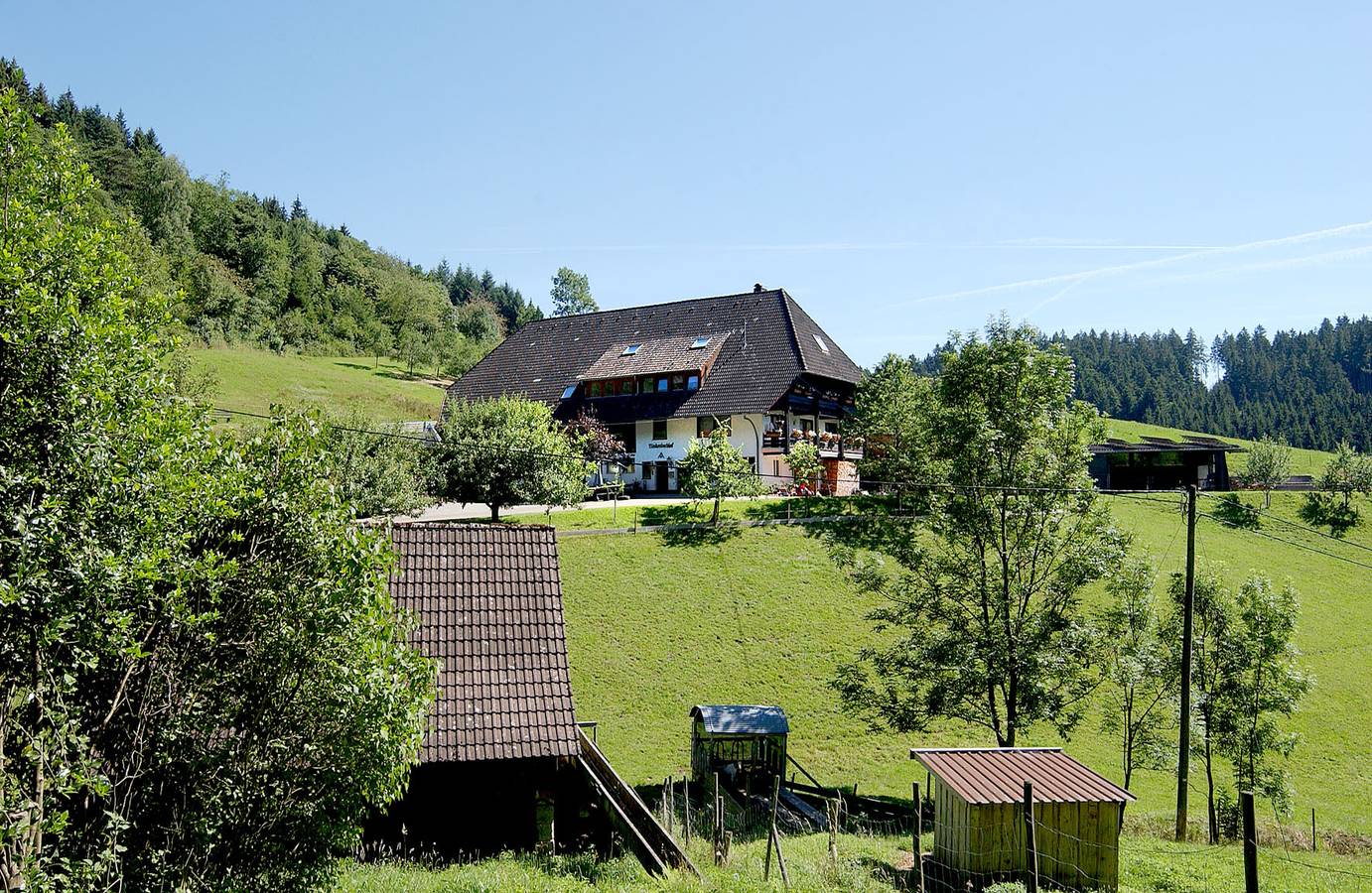 Ferienhaus Schwarzwald - absolute Alleinlage in Schenkenzell, Kinzigtal