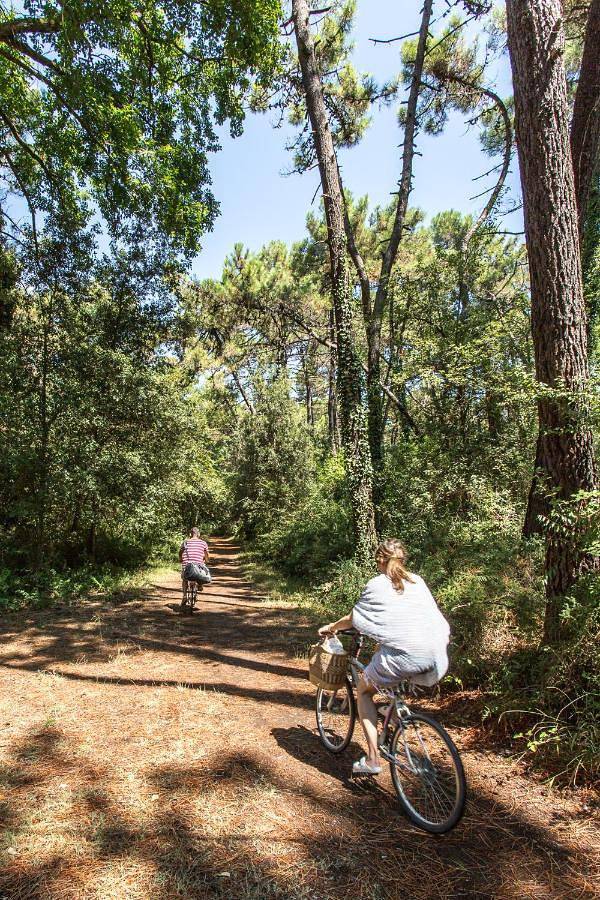Camping für 4 Personen, mit Garten und Pool in Ravenna - 3