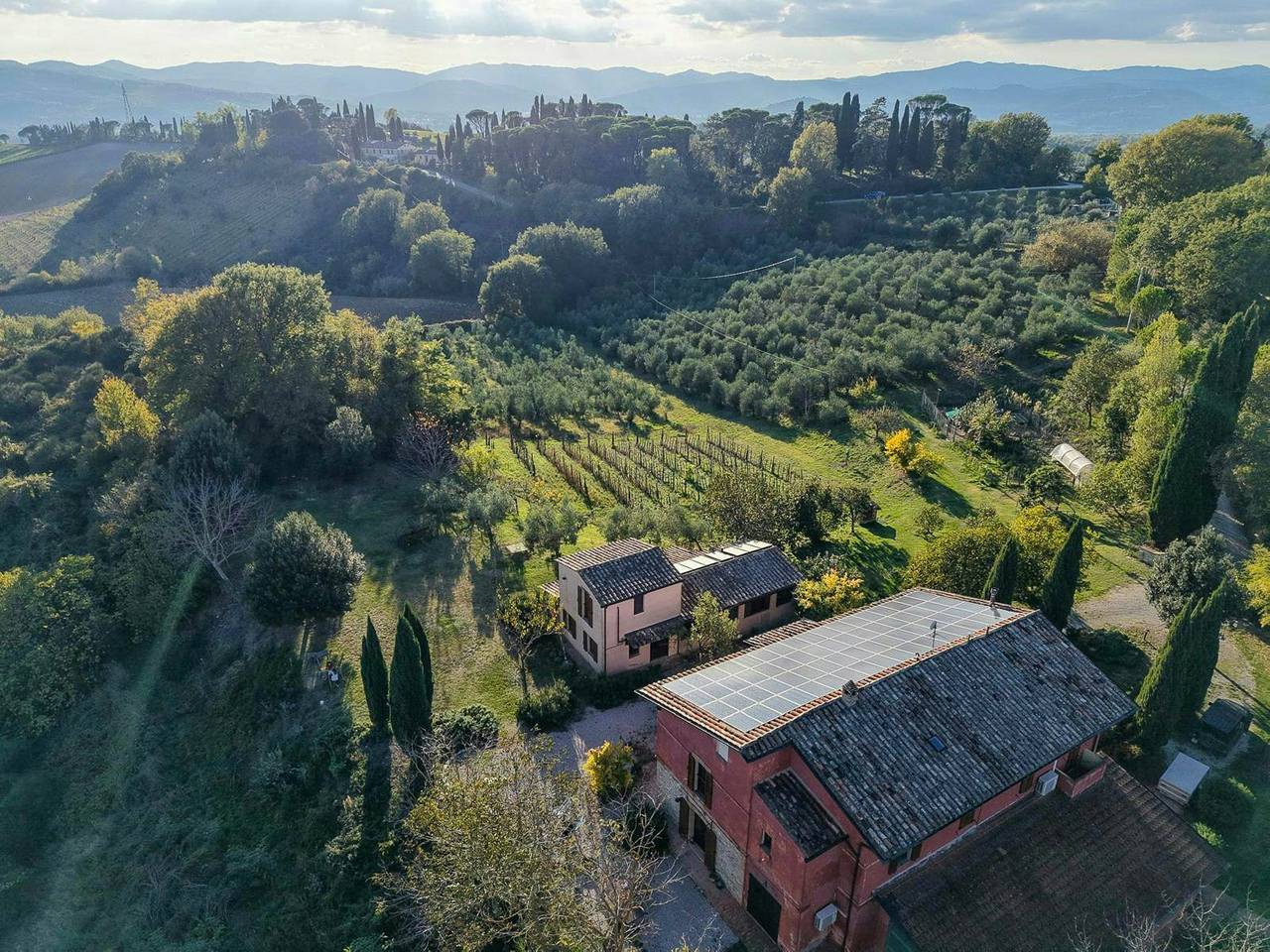 Agroturismo ecológico entre olivares cerca de Montone in Città di Castello, Valtiberina