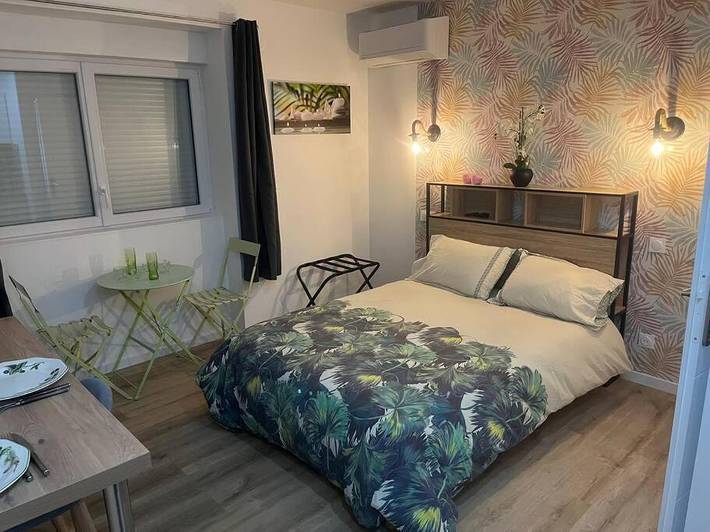 Gîte pour 2 personnes à Chasse-sur-Rhône - 2