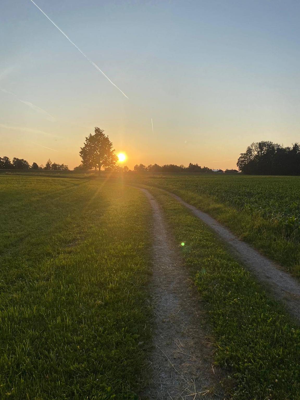 Ganze Ferienwohnung, Bachwagnerhof - Ferienwohnung Simon, 90 m², 2-6 Personen, Wohnküche, 3 Schlafzimmer, Du/Wc + Wc, Balkon in Staudach-Egerndach, Chiemsee