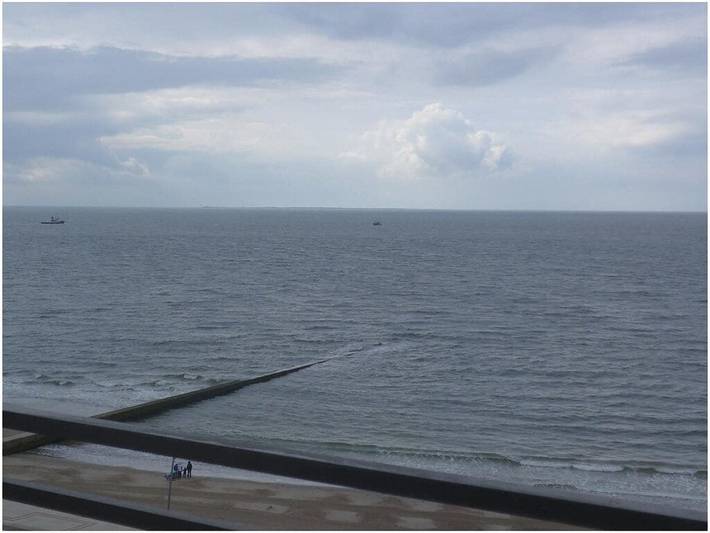 Ferienhaus für 2 Personen, mit Balkon, mit Haustier auf Borkum - 2