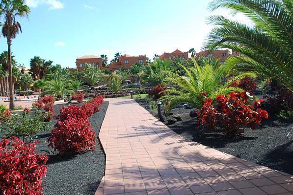 Apartamento vacacional entero, Apartamento "Oasis Royal 3 piscinas" in Corralejo, La Oliva
