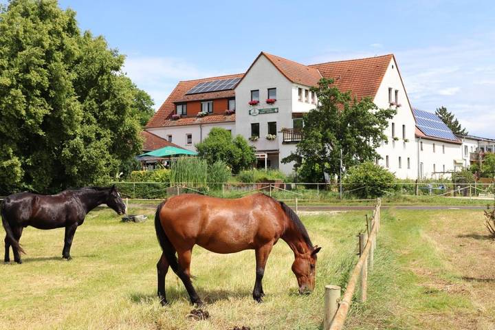 BnB für 2 Personen, mit Garten in Naumburg