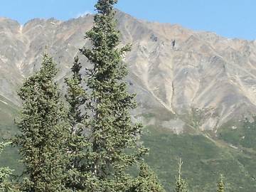 Blockhütte für 3 Personen in Wrangell - St. Elias Nationalpark, Alaska, Bild 3