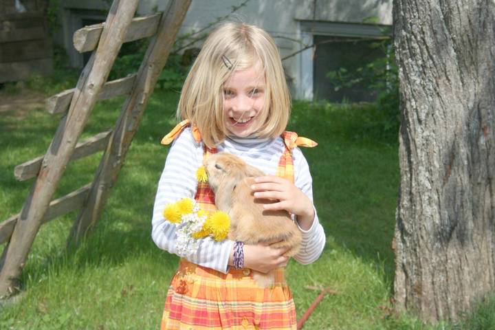 Pension pour 5 personnes, avec terrasse ainsi que jardin et sauna dans Rhénanie-Palatinat - 3