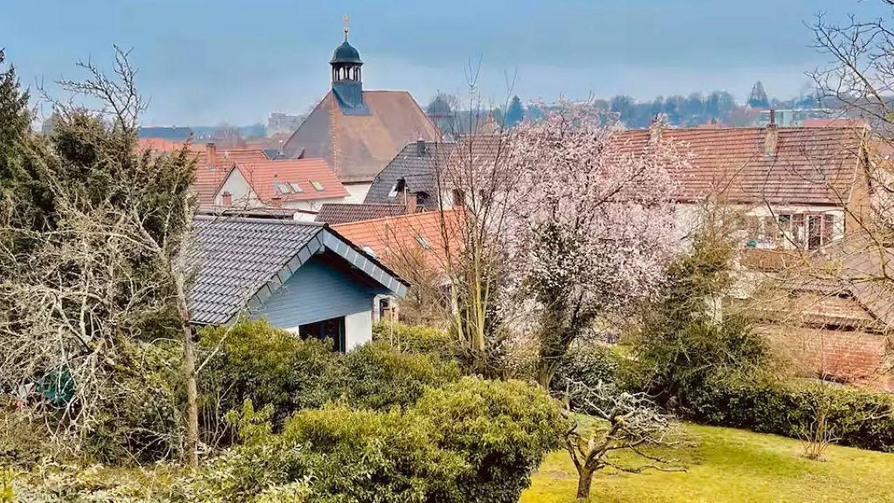 Ganze Ferienwohnung, Ferienwohnung für 2 Personen (40 m²) in Bad Bergzabern in Bad Bergzabern, Südliche Weinstraße