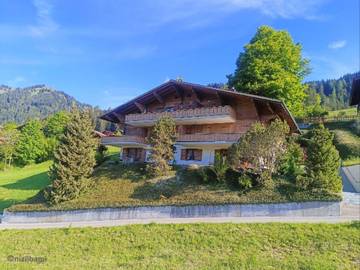 Chalet pour 2 personnes, animaux acceptés à Saanen