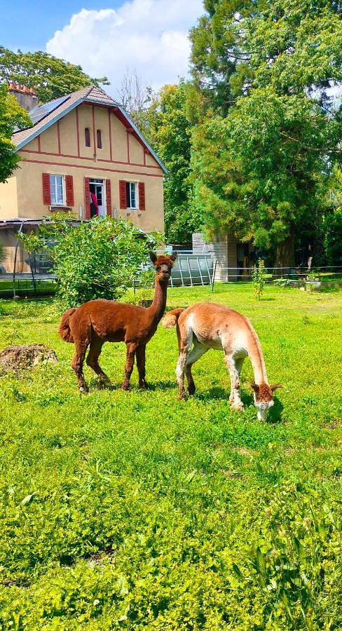 Chambre d’hôte pour 4 personnes, avec jacuzzi ainsi que sauna et jardin dans Côte-d'Or - 3