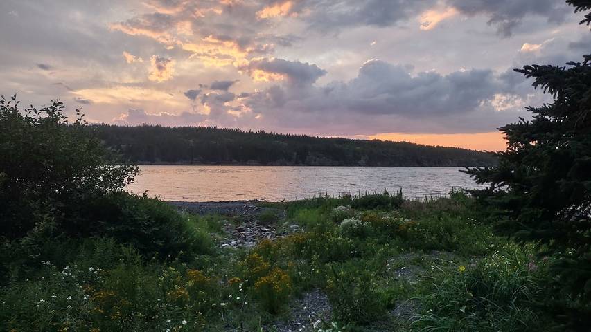 Camping pour 4 personnes, avec jardin dans Canada - 3