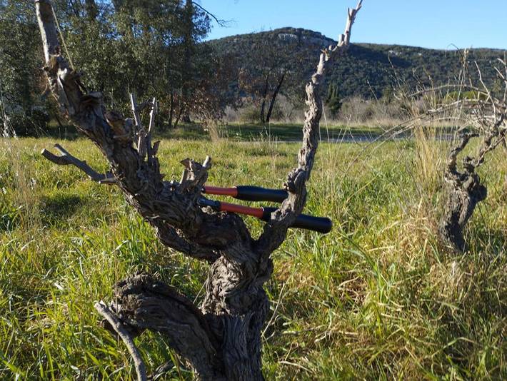 Location de vacances pour 15 personnes, avec terrasse et vue, animaux acceptés à Sauve - 2