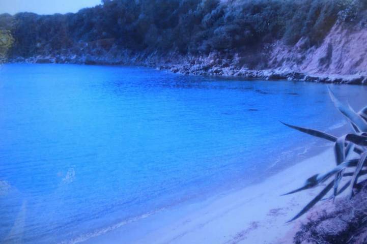 Villa for 5 people, with terrace and garden in Simius