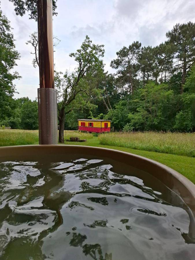 Location de vacances pour 2 personnes, avec jacuzzi ainsi que jardin et piscine à Sigalens - 4