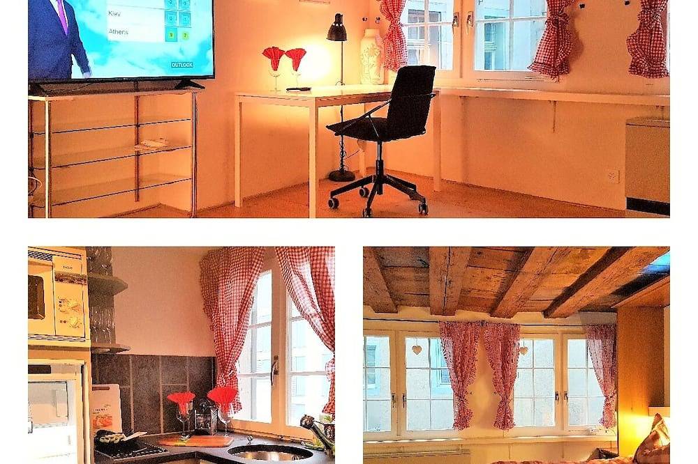 Entire apartment, Swiss Chalet style studio - top located in Zurich, Zurich district