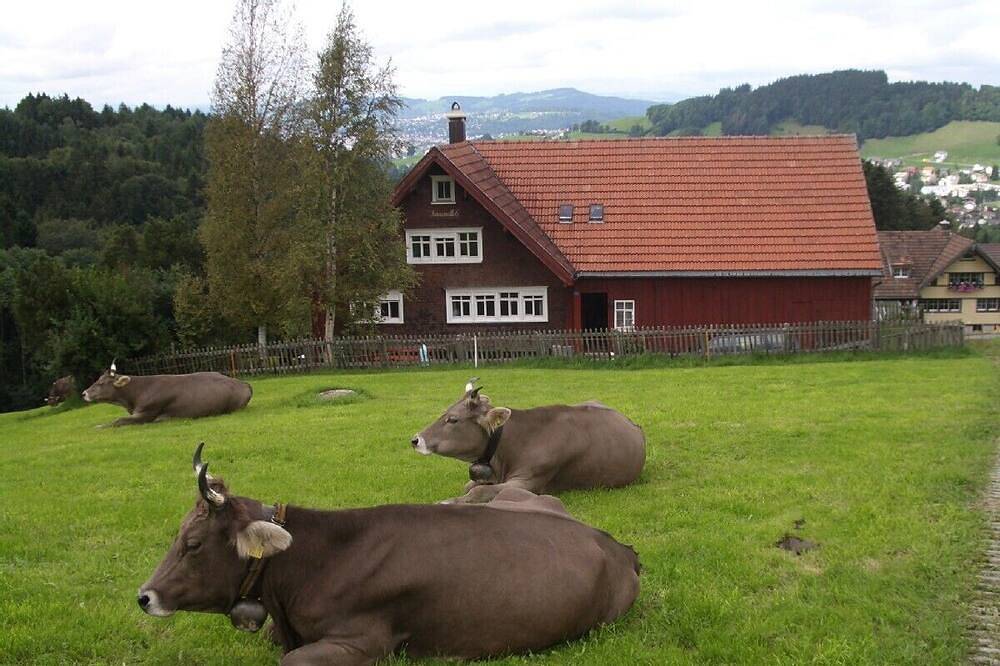 Gemütliches altes Appenzeller Bauernhaus zum Alleinbewohnen in Rehetobel, Zürich Voralpen