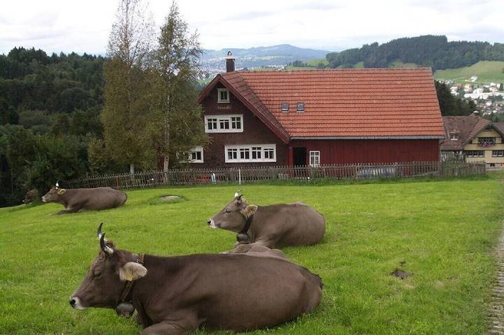 Ferienhaus für 5 Personen, mit Sauna und Garten, mit Haustier am Bodensee (Schweiz)