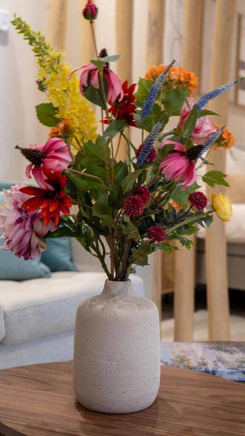 Chambre d’hôte pour 2 personnes, avec terrasse à Haarlem - 4