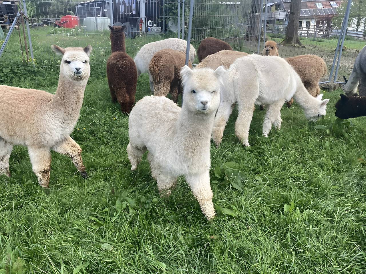 Appartement entier, Appartement 'Blomberg' avec terrasse partagée et Wi-Fi in Meinerzhagen, Arrondissement de la Mark