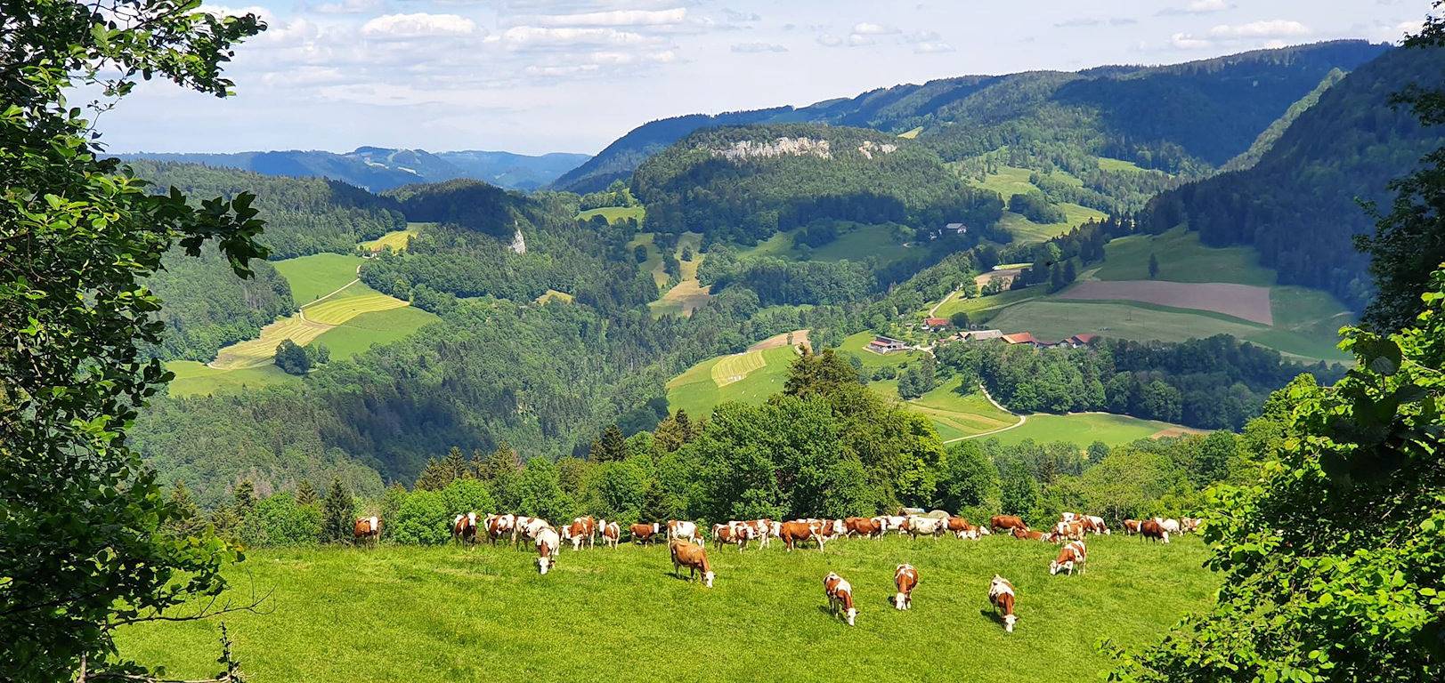 Gite d'Urtière ! Ferme Comtoise dans Massif du Jura in Urtière, Doubs