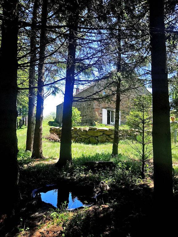 Chambre d’hôte pour 3 personnes, avec jardin - 1