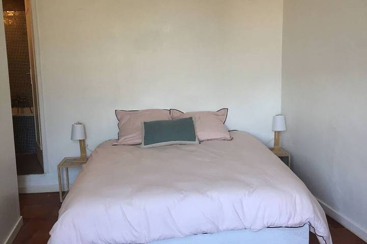 Location de vacances pour 10 personnes, avec terrasse et jardin, animaux acceptés à Aigues-Vives - 4