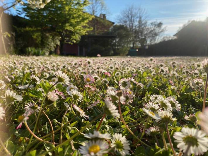 Casa vacanza per 5 persone, con giardino e panorama - 1