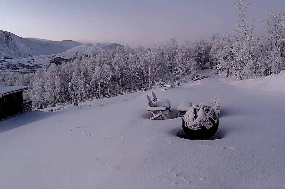 Lebe im Reich der Moschusochsen auf Dovrefjell in Dovre