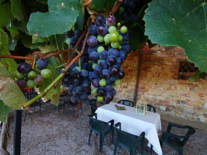 Agriturismo per 2 persone, con giardino e piscina a Castiglione del Lago
