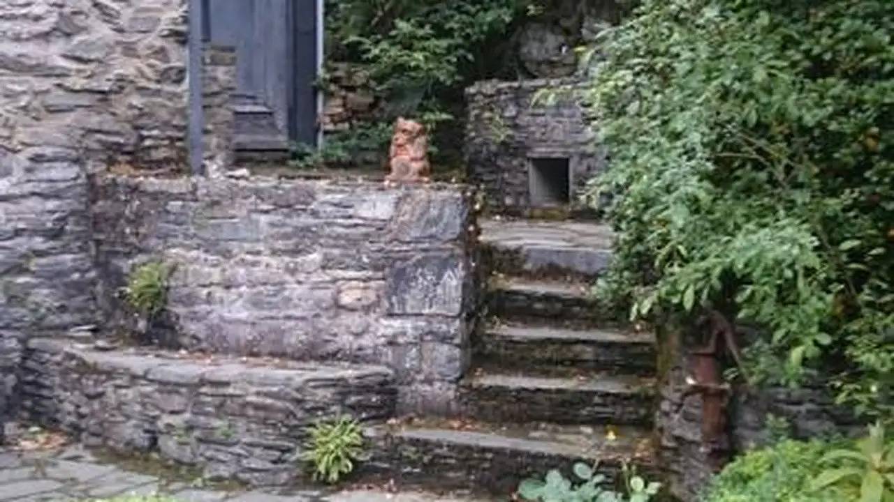 Ganze Ferienwohnung, Ferienwohnung für 4 Personen (102 m²) in Monschau in Monschau, Naturpark Hohes Venn-Eifel