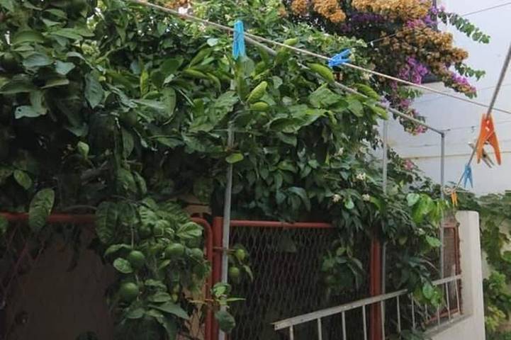 Lägenhet för 4 Personer, med terass och trädgård - 1