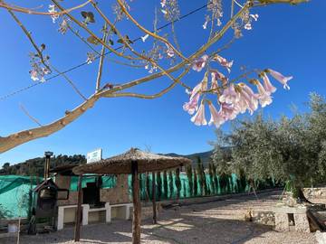 Chalet para 17 Personas en Moratalla, Provincia de Murcia, Foto 4