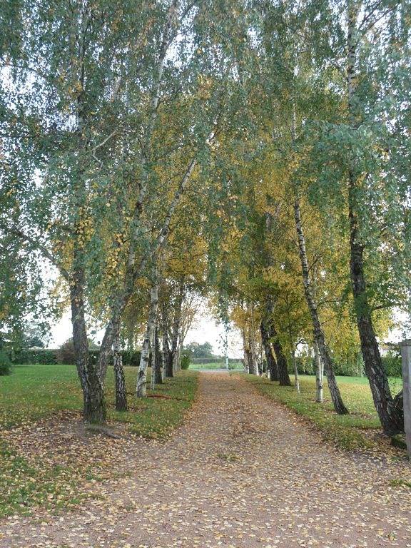 Entre Brionnais et Bourbonnais - Chambre in Montaiguët-en-Forez, Région de Vichy