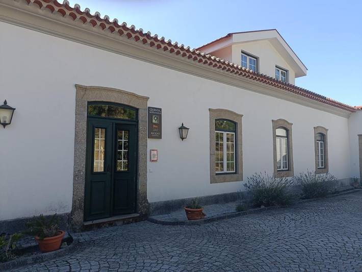 Maison d’hôte pour 4 personnes, avec piscine ainsi que jardin et vue, animaux acceptés à Viseu - 4