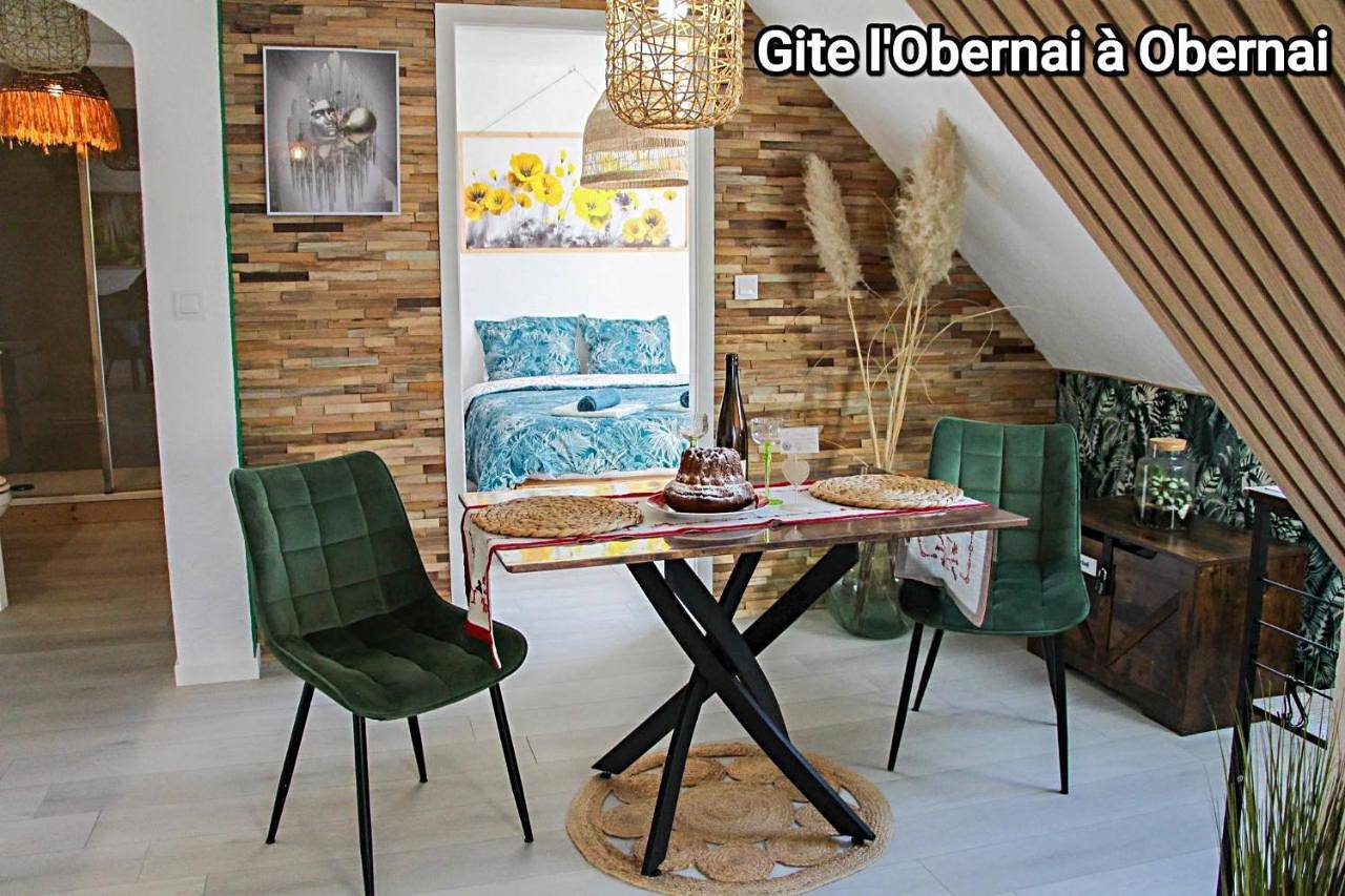 Appartement entier, L'Obernai in Obernai, Région de Sélestat-Erstein