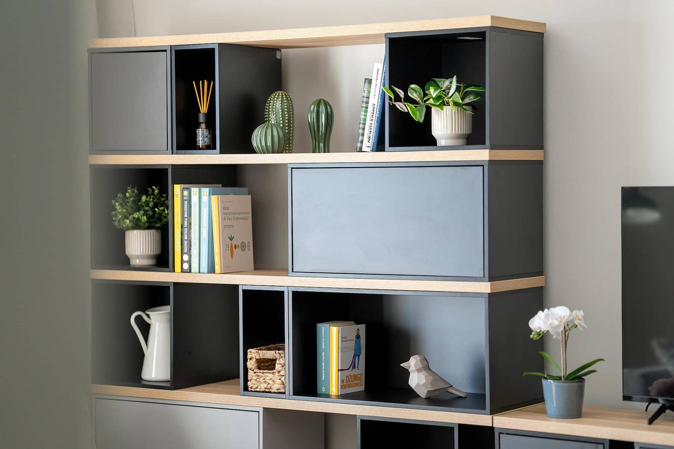 Cały apartament, Apartament wakacyjny dla 4 osób z balkon/ taras in Poznań, Wielkopolska