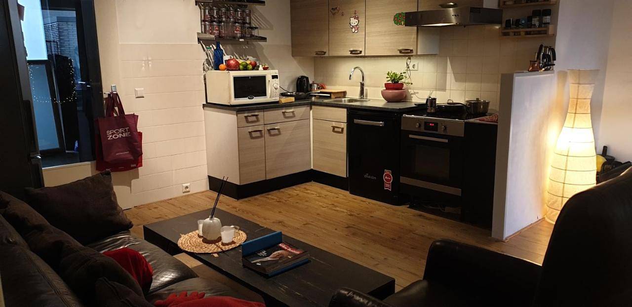 Geheel appartement, Spacious and comfortable 3 bedroom ground floor apartment for long stay in Delft, Stadsgewest Haaglanden