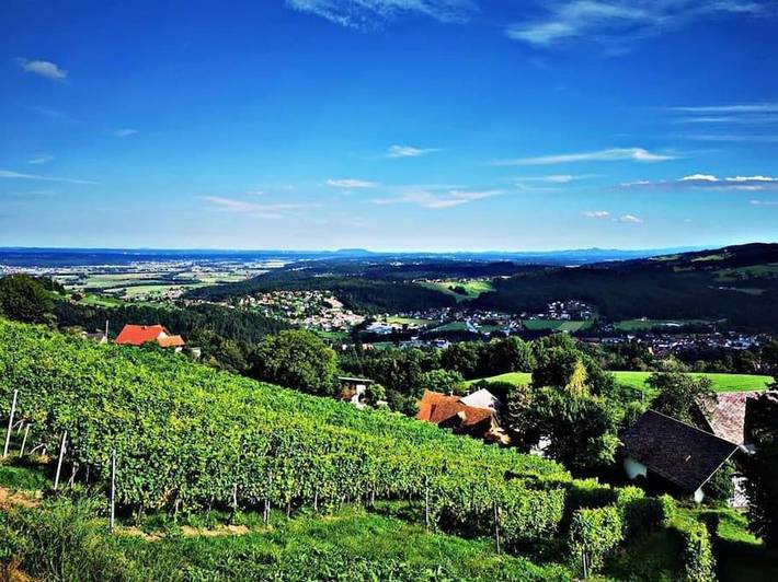 Ferienhaus für 6 Personen, mit Terrasse, mit Haustier