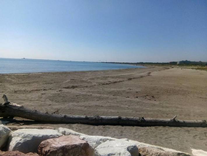 Chambre d’hôte pour 2 personnes, avec jardin, animaux acceptés à Lido di Venezia - 4
