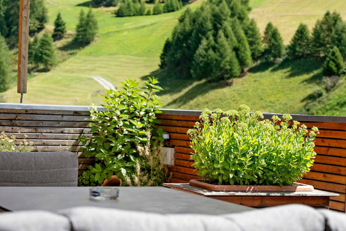 Ganze Wohnung, Charmante "Ferienwohnung Terrasse" mit Bergblick und Terrasse; Parkplätze vorhanden in Planeil, Mals