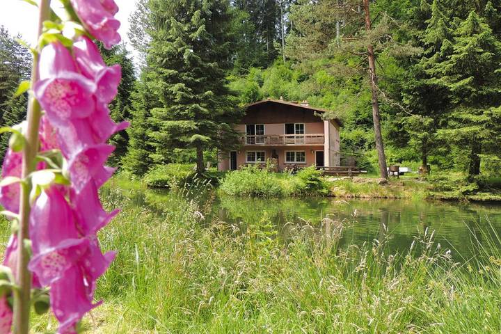 Gîte pour 4 personnes, avec jardin dans Sarrebourg - 4