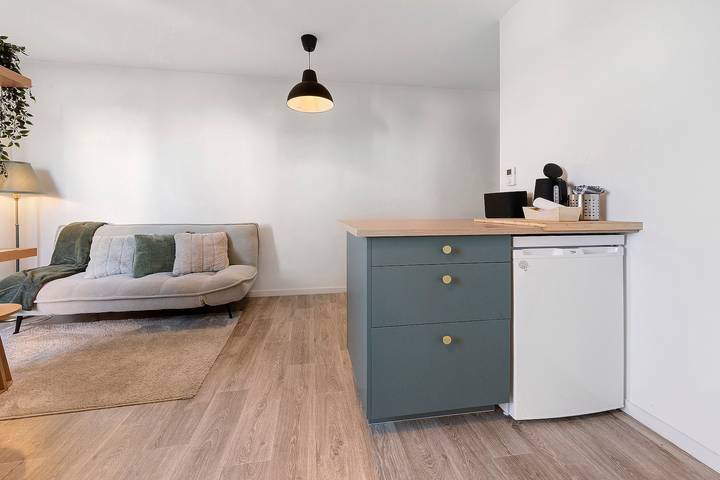 Entire apartment, 'Gwened'Home' Apartment with Terrace & Parking - Near Vannes City Center in Vannes, Côte des Mégalithes