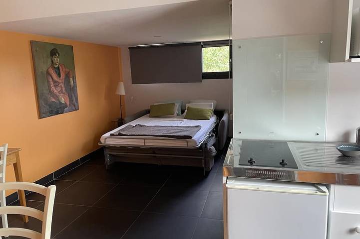 Location de vacances pour 5 personnes, avec jardin, animaux acceptés à Saint-Didier-au-Mont-d'Or - 2