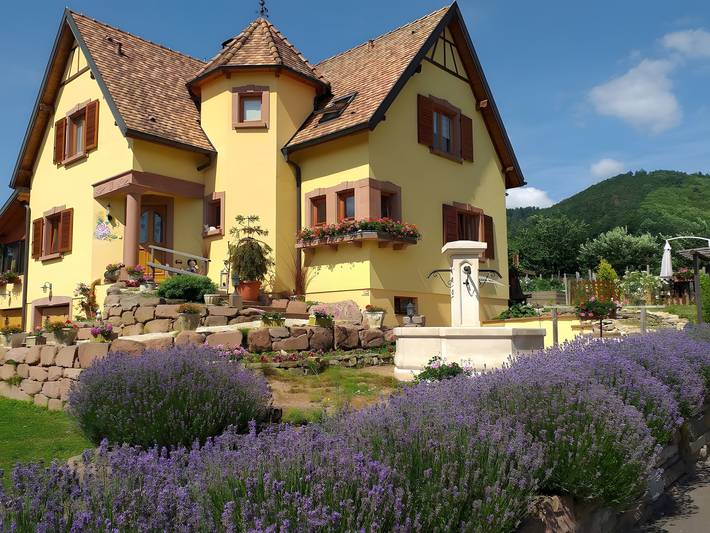 Chambre d’hôte pour 2 personnes, avec jardin à Walbach
