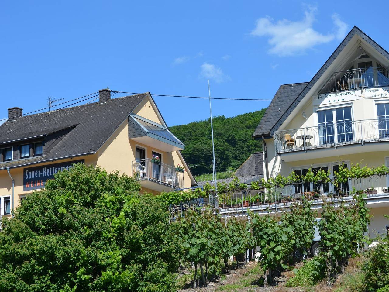 Ganze Ferienwohnung, Weingut-Fewo Sauer-Kettermann in Enkirch, Bernkastel-Kues & Umgebung