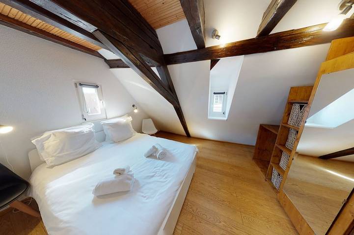 Ganze Wohnung, Spacious duplex near petite france up to 4 in Straßburg, Region Straßburg