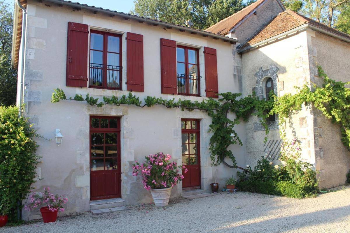 Les saules in Persac, Vienne (France)