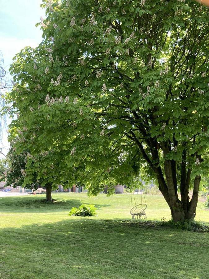 Location de vacances pour 10 personnes, avec Terrasse et Jardin dans Trouans