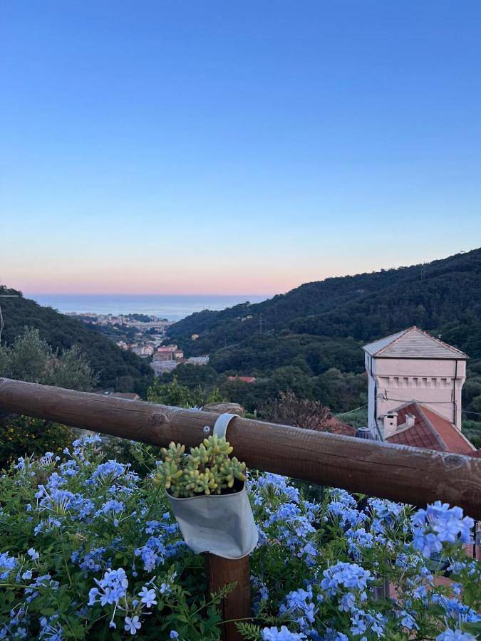 Il Rosale a Celle Ligure in Sanda (Celle Ligure), Celle Ligure